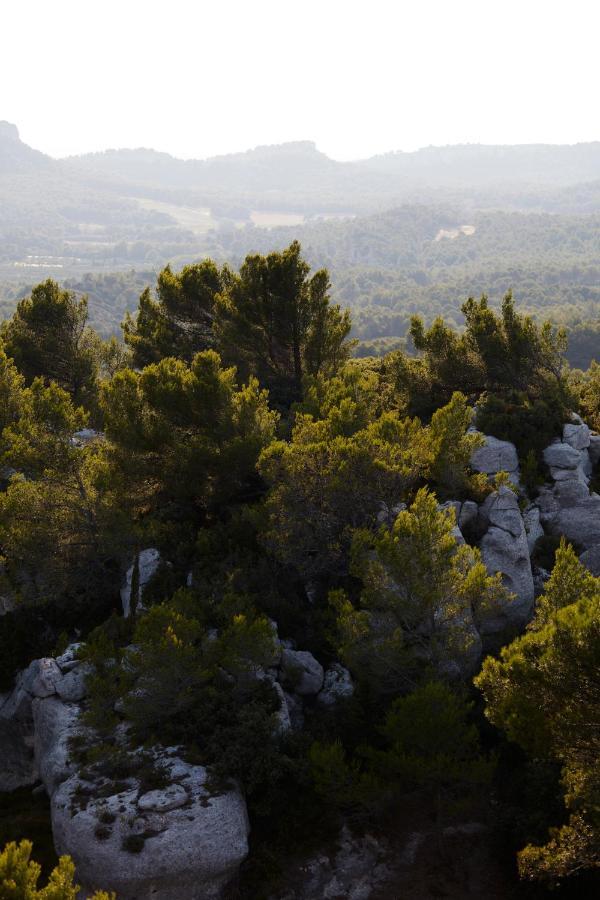 Le Mas Angelou Maussane les Alpilles Exterior foto