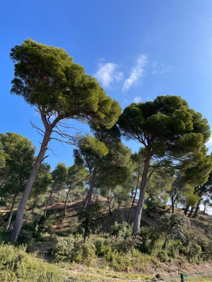Le Mas Angelou Maussane les Alpilles Exterior foto