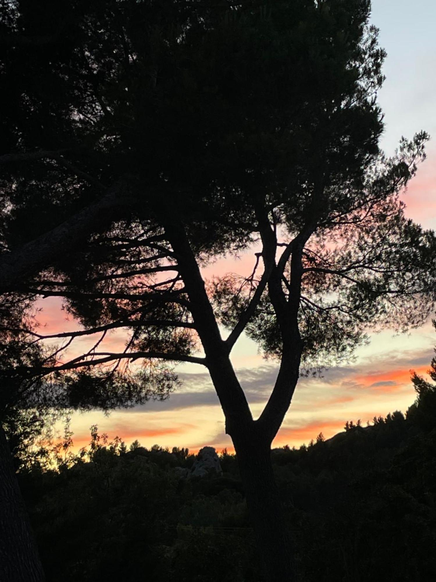 Le Mas Angelou Maussane les Alpilles Exterior foto